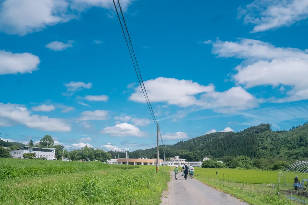 田んぼのあいだの一本道の先に立つ、白い校舎と夏空