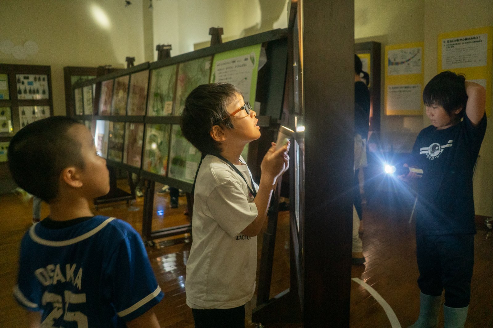 昆虫館の展示を懐中電灯で観察する、メガネの男の子と青い服の男の子